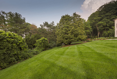 Refined image lawn and landscape, softscapes, snow & ice, lawn cutting & maintenance, residential & commercial lawn care, dunnville, ON